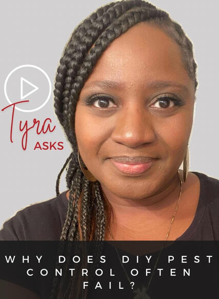 At Sean-Ty Pest Control, We Protect Your Investment! why does diy pest control often fail sean-ty teaches